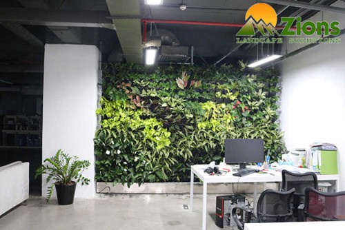 Dự án vườn trên tường cho văn phòng 