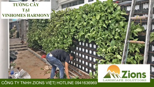 Thiết Kế Thi Công Tường Cây Tại Vinhomes Hamony