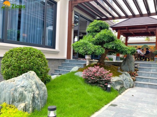Thiết kế thi công sân vườn tại KĐT Ciputra Hà Nội