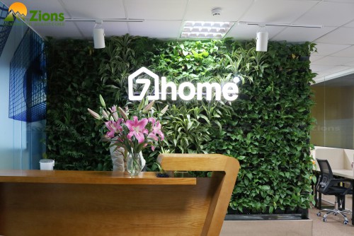 Thiết Kế Thi Công Vườn Trên Tường Tại Số 9 Hoàng Cầu