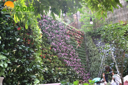 Thi Công Tường Cây Trên 90 m2 Nghi Tàm, Tây Hồ, Hà Nội