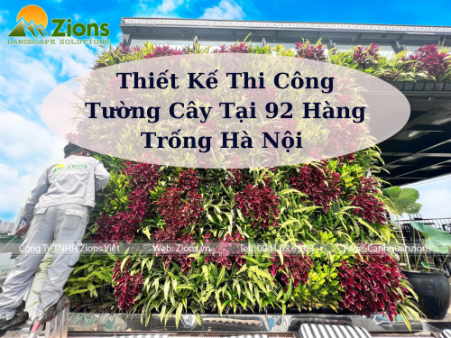 Thiết Kế Thi Công Tường Cây Khách Sạn Tại 92 Hàng Trống Hà Nội