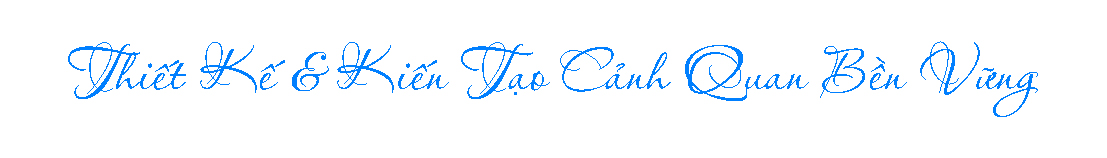 Chuyên thiết kế - thi công sân vườn, tiểu cảnh