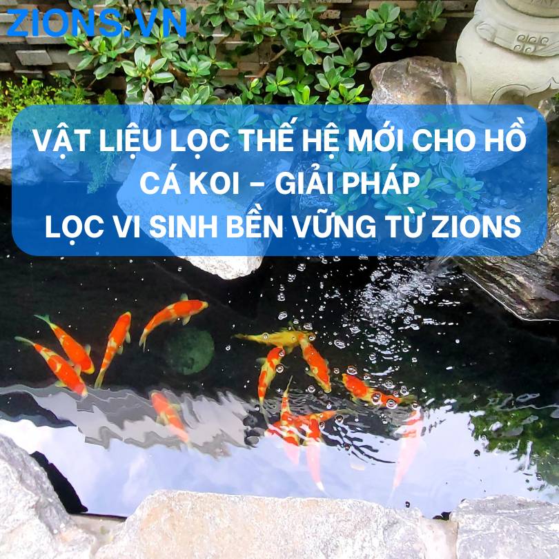 Vật liệu lọc thế hệ mới cho hồ cá Koi – Giải pháp lọc vi sinh bền vững từ Zions