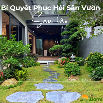 Bí Quyết Phục Hồi Sân Vườn Sau Bão 