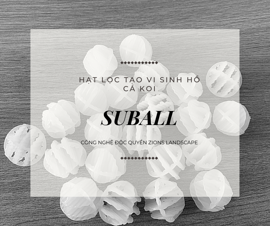Hạt Suball Vật Liệu Lọc Tạo Vi Sinh Mới Cho Hồ Koi  