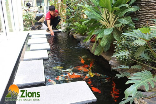 Thiết Kế Thi Công Hồ Koi Tại Biệt Thự Vinhome Thăng Long