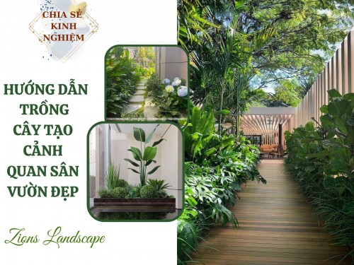 Hướng dẫn trồng cây tạo cảnh quan sân vườn đẹp