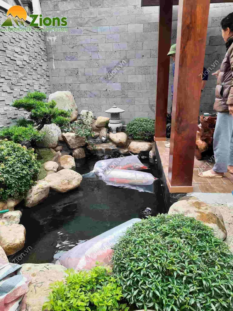 thiết kế hồ trong sân vườn Nhật