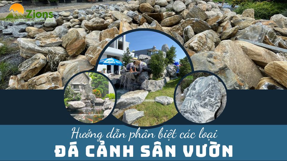 Hướng dẫn phân biệt đá cảnh sân vườn