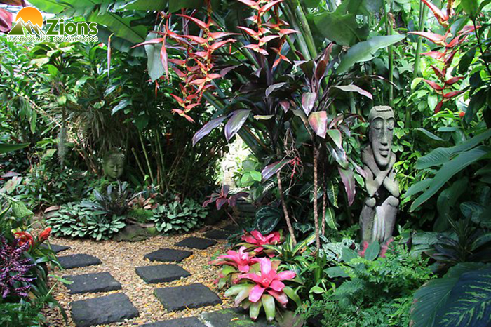 Thiết kế vườn nhiệt đới