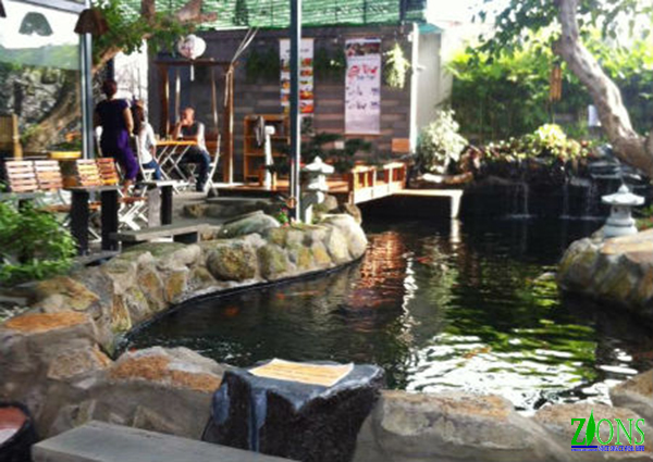 Thiết kế cafe sân vườn với hồ Koi