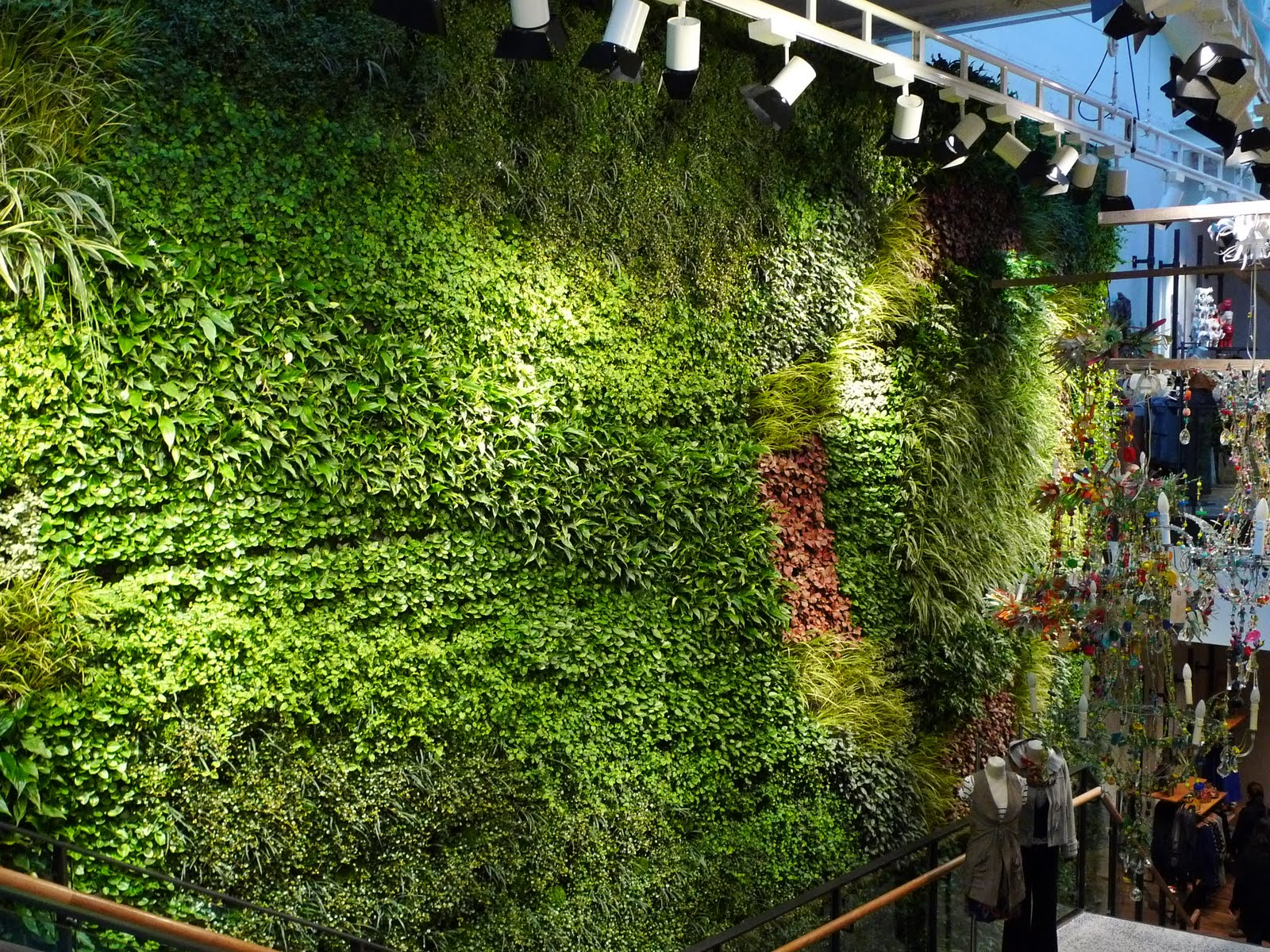 tường cây xanh cho không gian nhà bạn