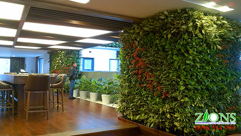 Vườn trên tường cho văn phòng 