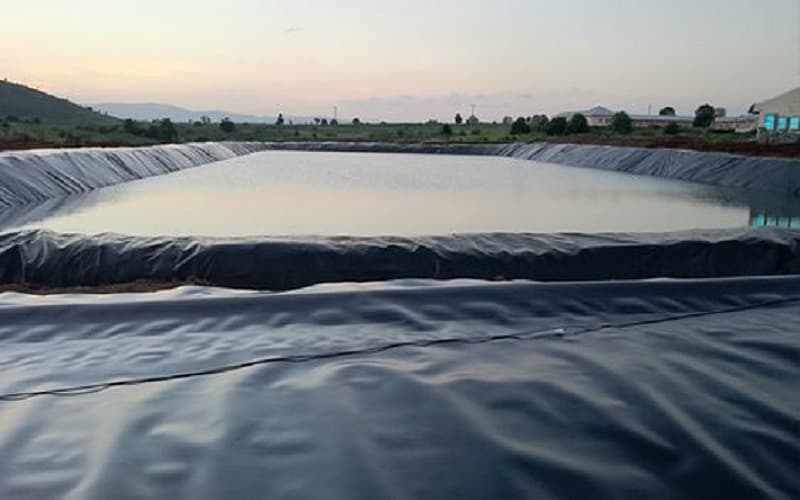 Thi công hồ cá koi bằng phương pháp trải bạt HDPE