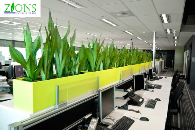 Văn phòng đẹp với cây xanh tự nhiên.