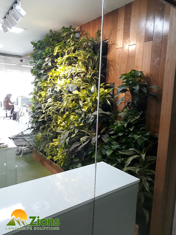 Tường cây xanh văn phòng