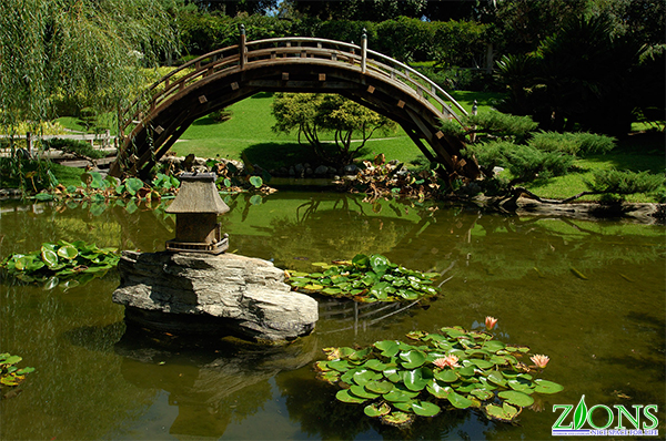 thiết kế sân vườn Nhật