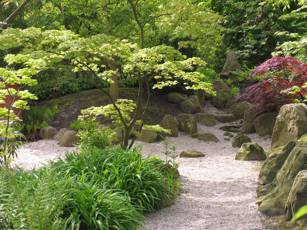 Vườn Nhật Bản mang tính Thiền 