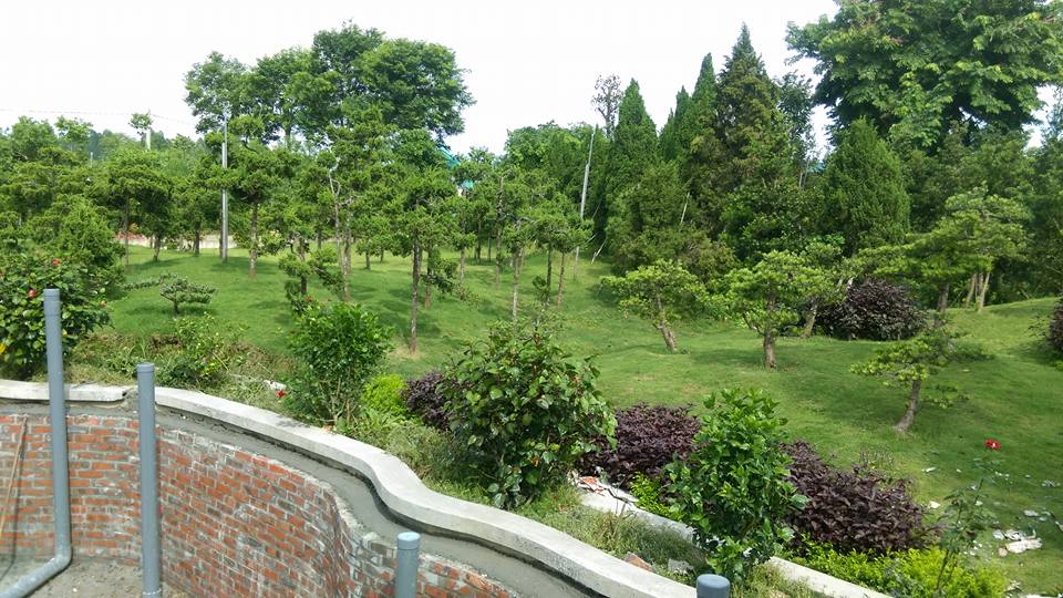 Thiết kế thi công sân vườn biệt thự phong cách Nhật Bản 