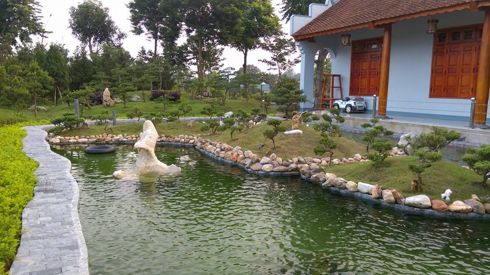 Thiết kế thi công sân vườn biệt thự Nhật Bản