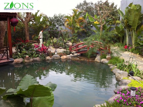 Hồ Cá Koi, Nét Đẹp Sinh Động Trong Không Gian Sân Vườn