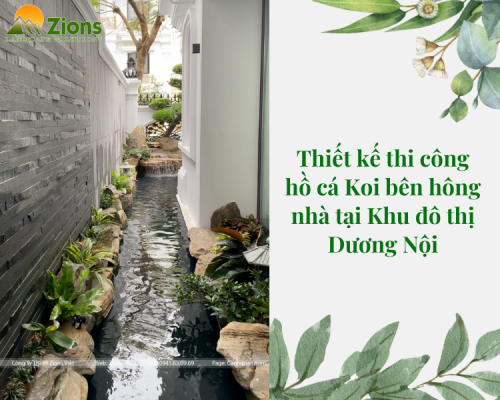 THIẾT KẾ THI CÔNG HỒ CÁ KOI BÊN HÔNG NHÀ TẠI KHU ĐÔ THỊ DƯƠNG NỘI
