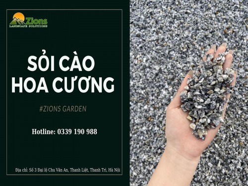 Sỏi Cào Hoa Cương: Giải Pháp Hoàn Hảo Thay Thế Sỏi Nhật Trong Sân Vườn