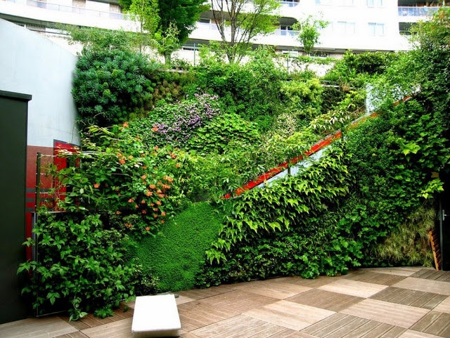Thiết kế vườn tường đứng khách sạn