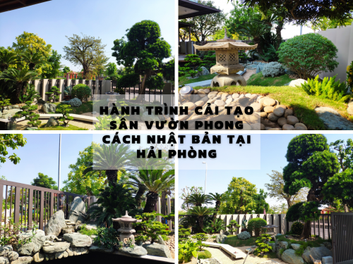 Hành trình cải tạo sân vườn phong cách Nhật Bản tại Hải Phòng