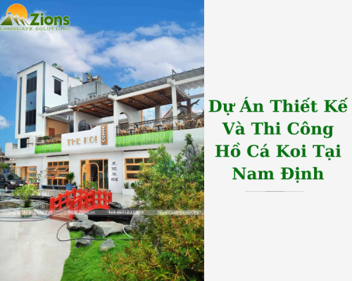Dự Án Thiết Kế Và Thi Công Hồ Cá Koi Tại Nam Định