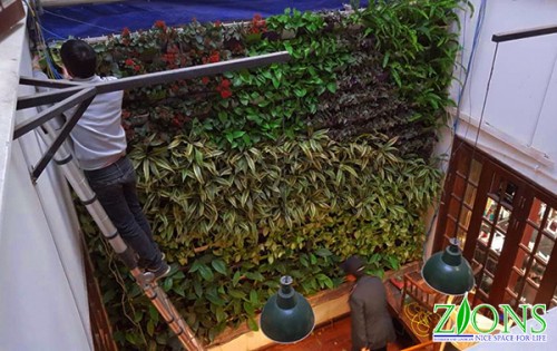Thi Công Tường Cây Tại Công Ty Không Gian Mới - Kim Mã -Hà Nội